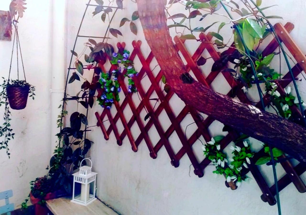 Pied-A-Terre Domusuite Rhome Colosseo Roma Dış mekan fotoğraf